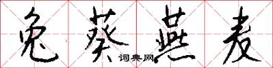兔葵燕麦怎么写好看