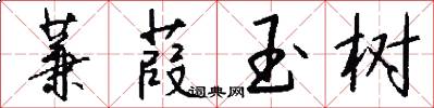 蒹葭玉树怎么写好看