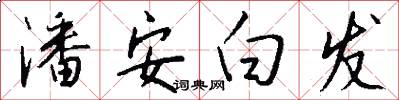 潘安白发怎么写好看