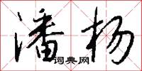 潘杨怎么写好看