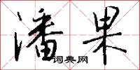 潘果怎么写好看