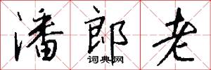 潘郎老怎么写好看