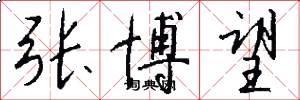 张博望怎么写好看