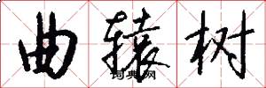 曲辕树怎么写好看