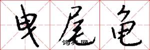 曳尾龟怎么写好看