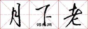 月下老怎么写好看