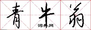 青牛翁怎么写好看