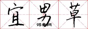 宜男草怎么写好看