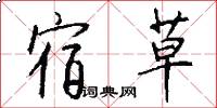 宿草怎么写好看