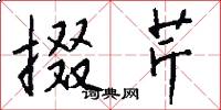 掇芹怎么写好看