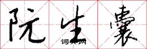 阮生囊怎么写好看