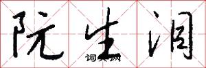 阮生泪怎么写好看