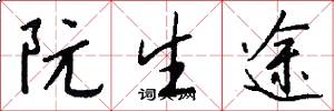 阮生途怎么写好看