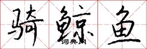 骑鲸鱼怎么写好看