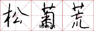 松菊荒怎么写好看