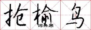 抢榆鸟怎么写好看