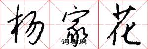 杨家花怎么写好看