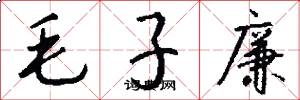 毛子廉怎么写好看
