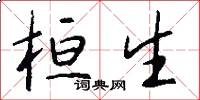 桓生怎么写好看