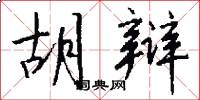 胡辩怎么写好看