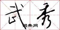 武秀怎么写好看