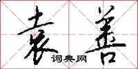 袁善怎么写好看