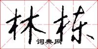林栋怎么写好看