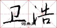 卫浩怎么写好看