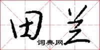 田兰怎么写好看