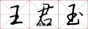 王君玉怎么写好看