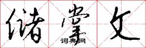 储掌文怎么写好看