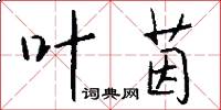 叶茵怎么写好看