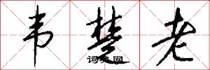 韦楚老怎么写好看