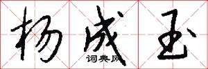杨成玉怎么写好看