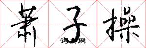 萧子操怎么写好看