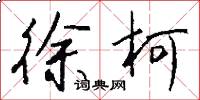 徐柯怎么写好看