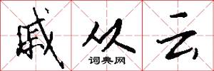 戚从云怎么写好看