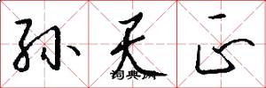 孙天正怎么写好看
