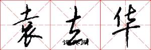 袁去华怎么写好看