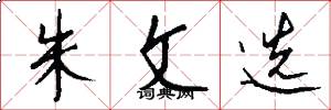 朱文选怎么写好看