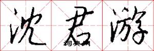 沈君游怎么写好看