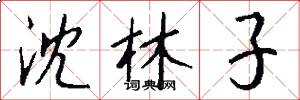 沈林子怎么写好看
