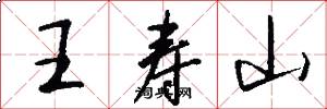 王寿山怎么写好看