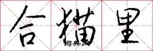 合猫里怎么写好看
