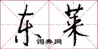 东莱怎么写好看