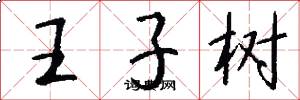 王子树怎么写好看