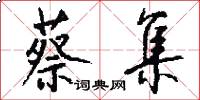 蔡集怎么写好看
