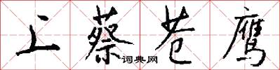 上蔡苍鹰怎么写好看