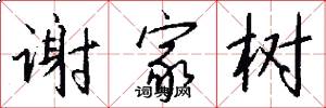 谢家树怎么写好看