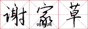 谢家草怎么写好看